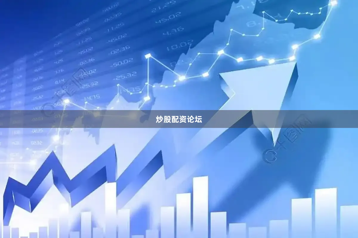 炒股配资论坛