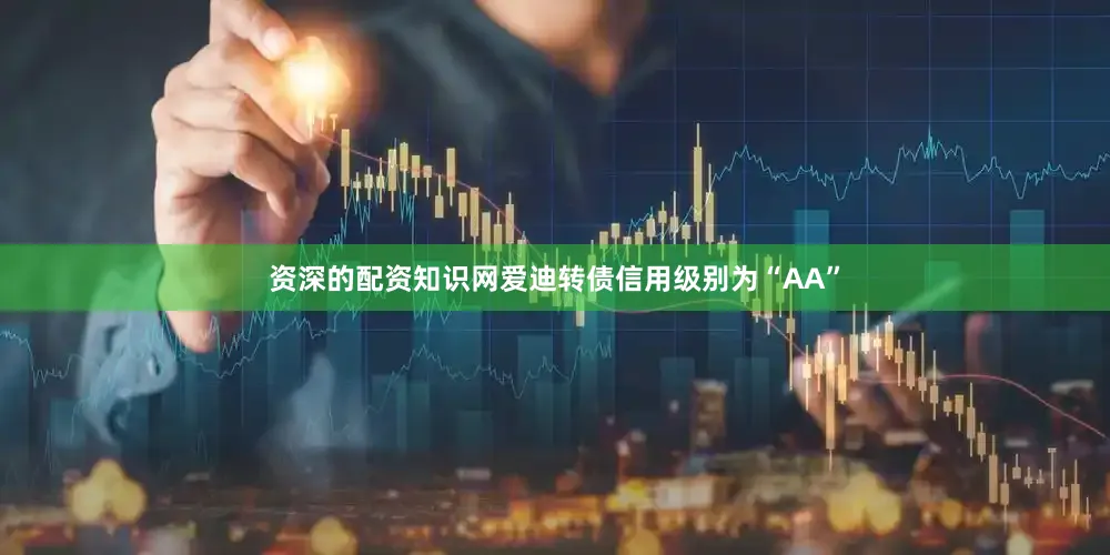 资深的配资知识网爱迪转债信用级别为“AA”