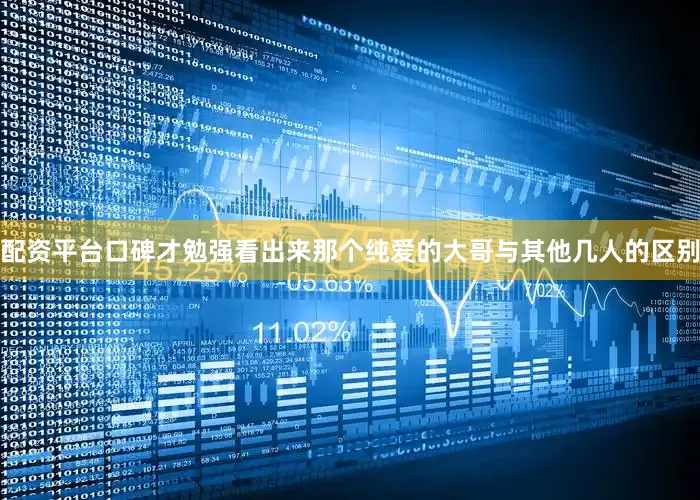 配资平台口碑才勉强看出来那个纯爱的大哥与其他几人的区别