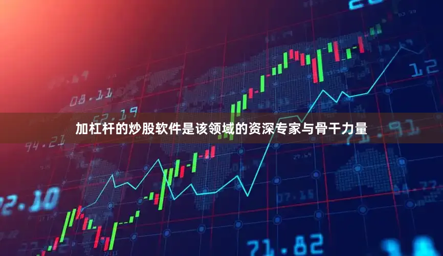 加杠杆的炒股软件是该领域的资深专家与骨干力量