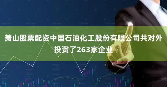 萧山股票配资中国石油化工股份有限公司共对外投资了263家企业