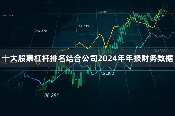 十大股票杠杆排名结合公司2024年年报财务数据