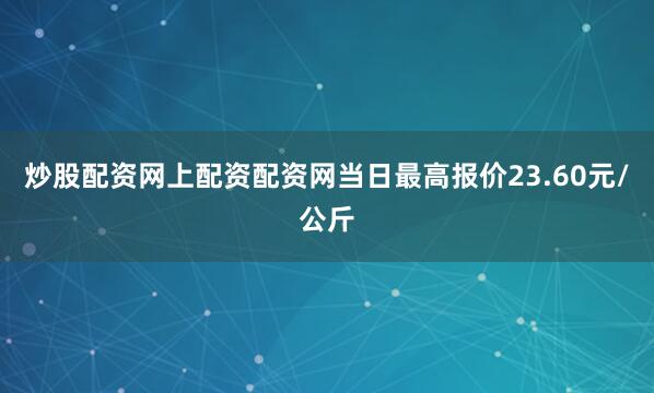 炒股配资网上配资配资网当日最高报价23.60元/公斤